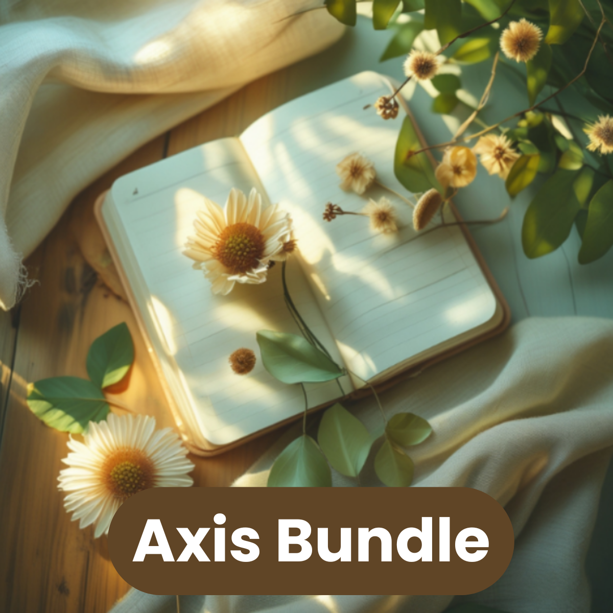 Axis Bundle